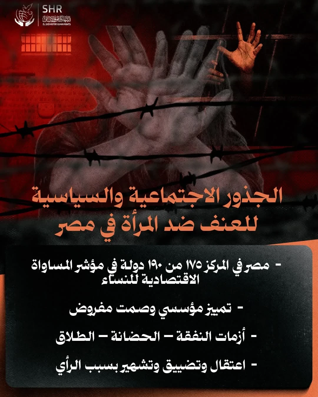 Human Rights Campaign for International Day for the Elimination of Violence Against Women