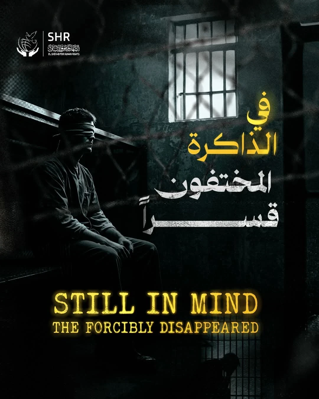 Human Rights Campaign for the International Day Against Enforced Disappearance